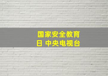 国家安全教育日 中央电视台